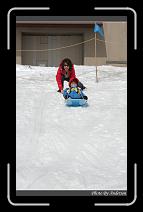 IMG_2750 * 600 x 966 * (284KB)