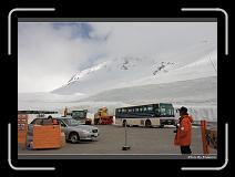 IMG_2788 * 900 x 644 * (260KB)