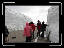 IMG_2791 * 900 x 644 * (273KB)