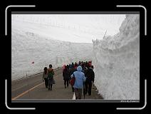 IMG_2793 * 900 x 644 * (276KB)