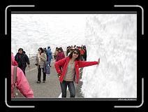IMG_2796 * 900 x 644 * (286KB)