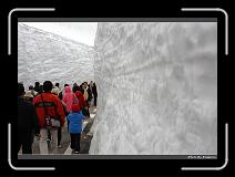 IMG_2797 * 900 x 644 * (298KB)