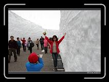 IMG_2798 * 900 x 644 * (285KB)