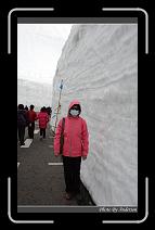 IMG_2800 * 600 x 966 * (250KB)