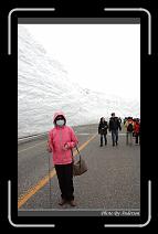 IMG_2802 * 600 x 966 * (276KB)