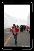 IMG_2804 * 600 x 966 * (299KB)