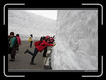 IMG_2811 * 900 x 644 * (282KB)