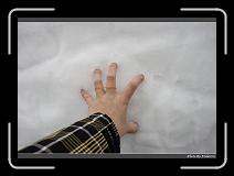 IMG_2818 * 900 x 644 * (282KB)