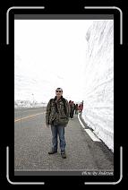 IMG_2821 * 600 x 966 * (295KB)