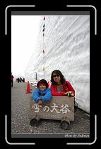 IMG_2833 * 600 x 966 * (286KB)