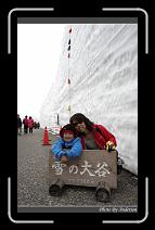 IMG_2837 * 600 x 966 * (279KB)