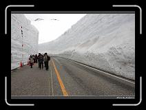 IMG_2843 * 900 x 644 * (276KB)