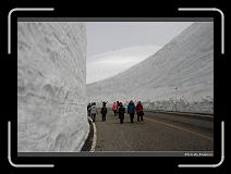 IMG_2850 * 900 x 644 * (285KB)