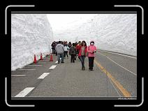 IMG_2855 * 900 x 644 * (275KB)