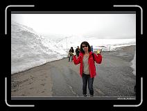 IMG_2864 * 900 x 644 * (277KB)