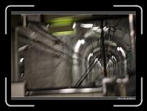 IMG_2876 * 900 x 644 * (253KB)