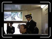 IMG_2906 * 900 x 644 * (297KB)
