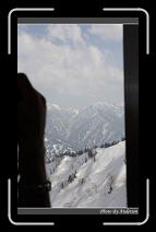 IMG_2913 * 600 x 966 * (274KB)