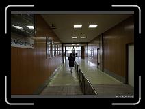 IMG_2919 * 900 x 644 * (241KB)