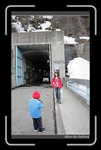 IMG_2967 * 600 x 966 * (295KB)
