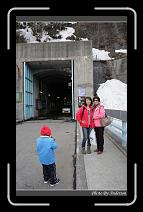 IMG_2970 * 600 x 966 * (295KB)