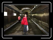 IMG_2994 * 900 x 644 * (285KB)