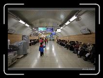 IMG_2995 * 900 x 644 * (272KB)