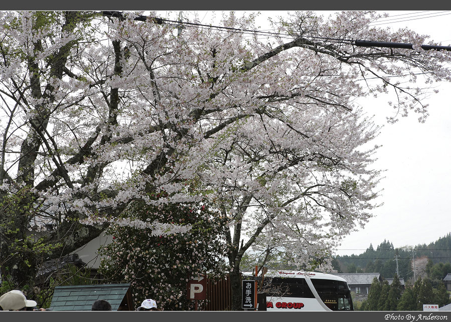 下一張幻燈片