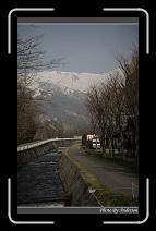 IMG_3019 * 600 x 966 * (285KB)