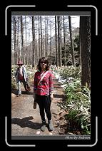 IMG_3034 * 600 x 966 * (294KB)