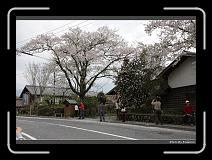 IMG_3086 * 900 x 644 * (291KB)