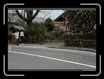 IMG_3087 * 900 x 644 * (300KB)