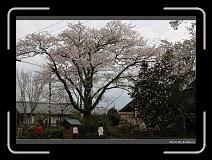 IMG_3088 * 900 x 644 * (294KB)
