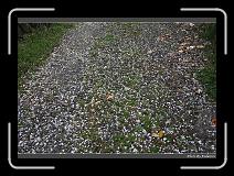 IMG_3089 * 900 x 644 * (295KB)