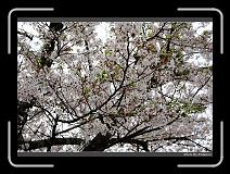 IMG_3092 * 900 x 644 * (295KB)
