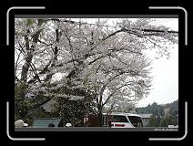 IMG_3095 * 900 x 644 * (292KB)