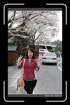 IMG_3097 * 600 x 966 * (296KB)