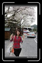 IMG_3099 * 600 x 966 * (293KB)