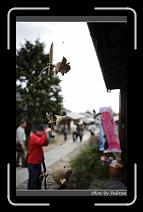 IMG_3109 * 600 x 966 * (241KB)