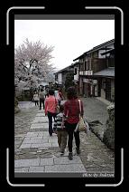 IMG_3135 * 600 x 966 * (294KB)