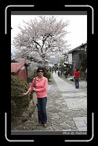 IMG_3136 * 600 x 966 * (284KB)