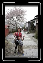 IMG_3140 * 600 x 966 * (299KB)
