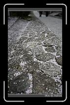 IMG_3142 * 600 x 966 * (289KB)