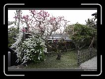 IMG_3146 * 900 x 644 * (293KB)