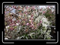 IMG_3150 * 900 x 644 * (276KB)