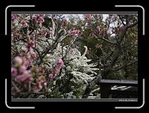 IMG_3152 * 900 x 644 * (297KB)