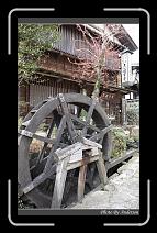 IMG_3153 * 600 x 966 * (296KB)