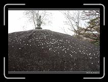IMG_3178 * 900 x 644 * (287KB)