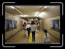 IMG_3184 * 900 x 644 * (280KB)