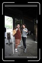 IMG_3193 * 600 x 966 * (264KB)